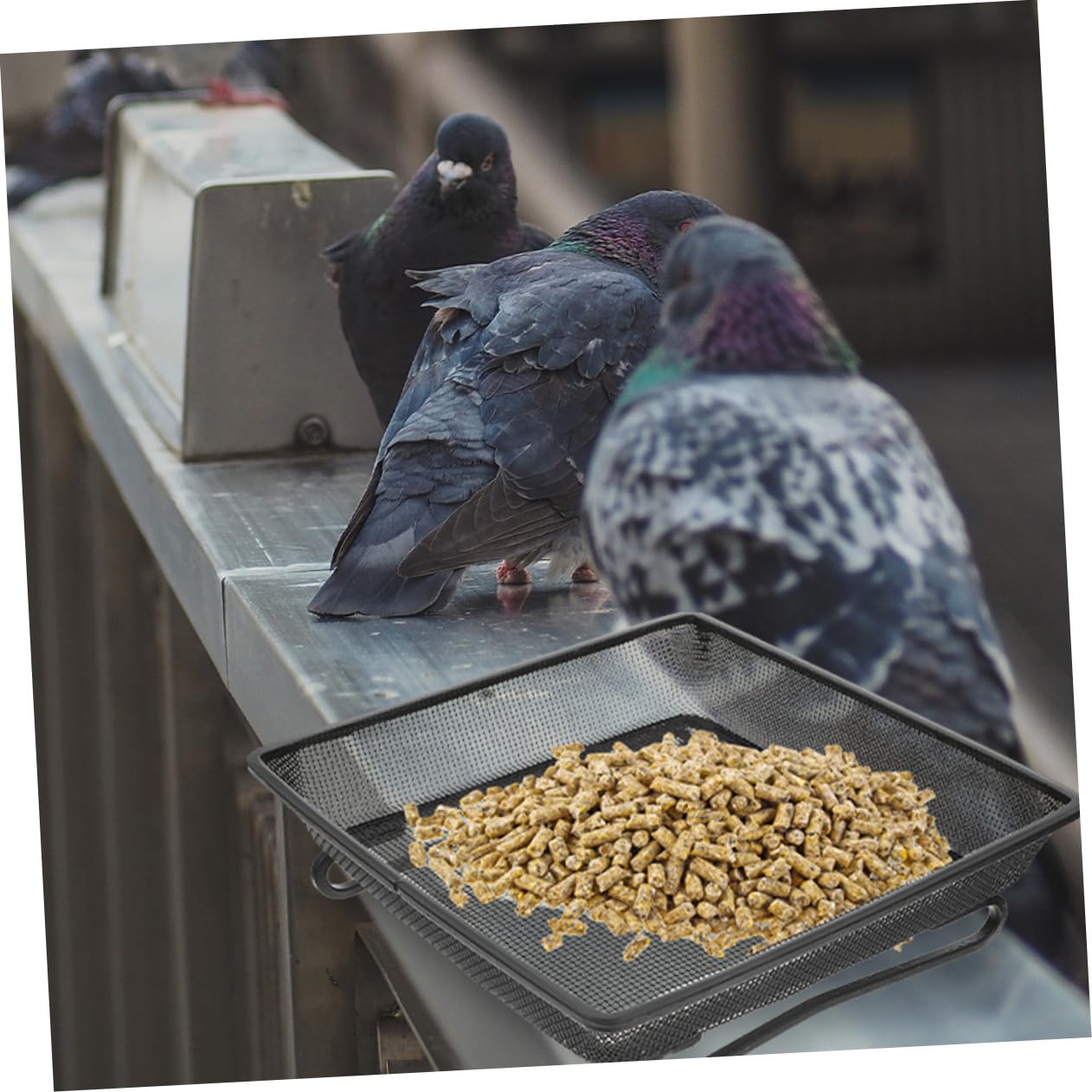 Edelstahl Plattform Vogelfutterstation Wetterfestes Gittertablett für Bodenvögel Garten Wildvögel Futterstelle mit Stabiler Konstruktion und Einfache Reinigung