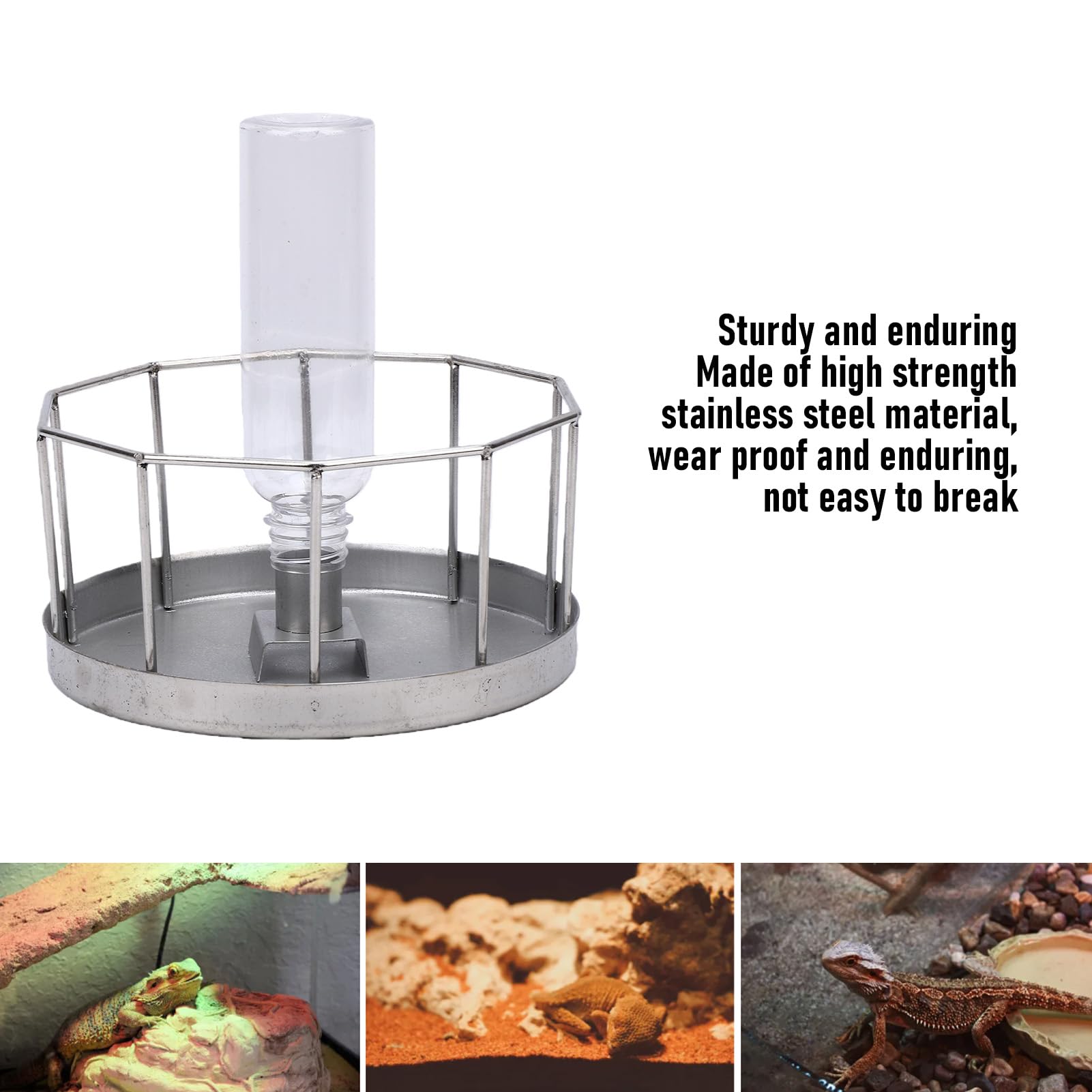 Ciotola per rettili in acciaio inox, dispenser di acqua affidabile per tartarughe e lucertole, 1 unità (grande)
