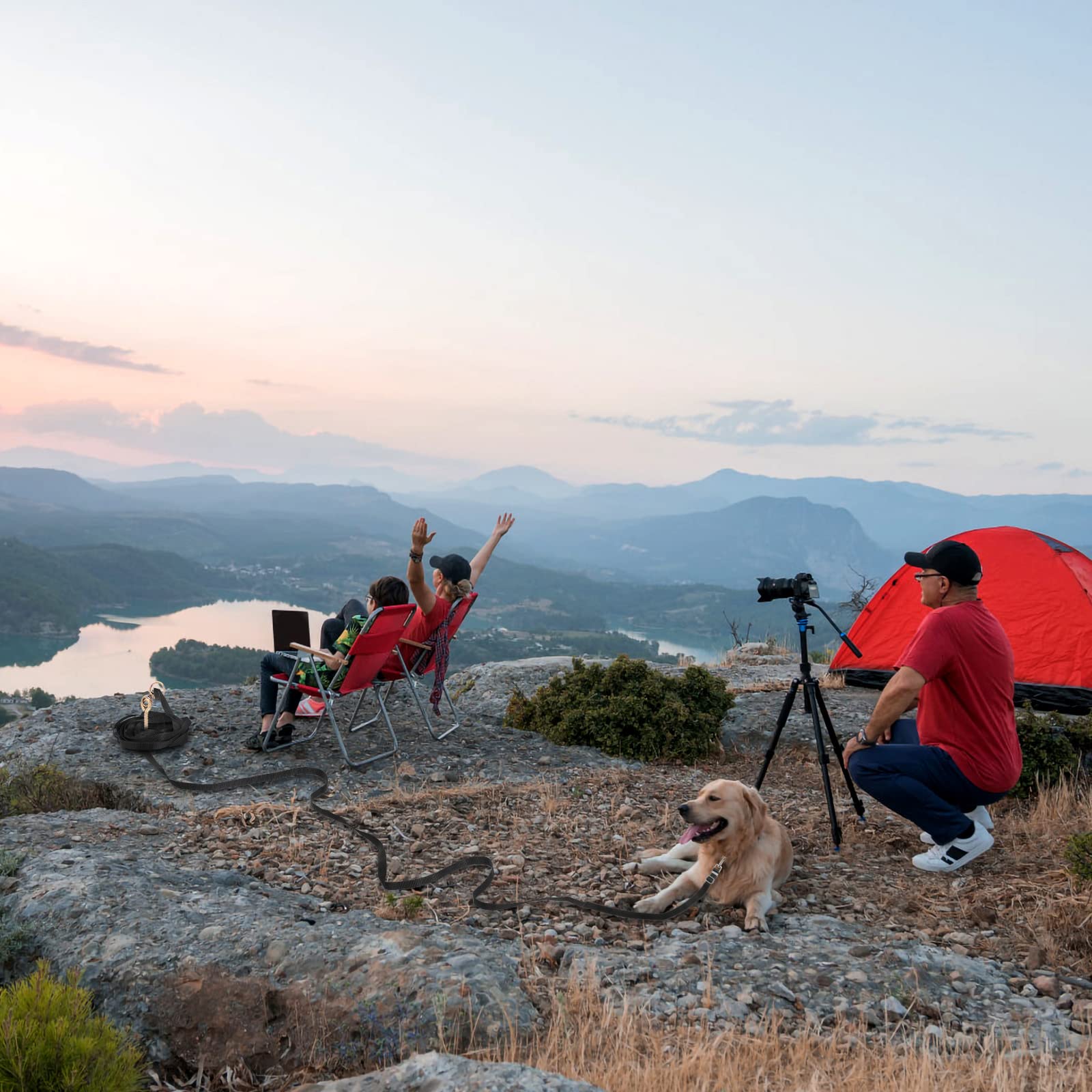 Guinzaglio per Cani, Lunghina per Cane 5 Metri, Guinzaglio Addestramento Regolabile con Impugnatura Imbottita, Ideale per Allenamento, Passeggiate e Attività Outdoor (Nero,5m/16ft)