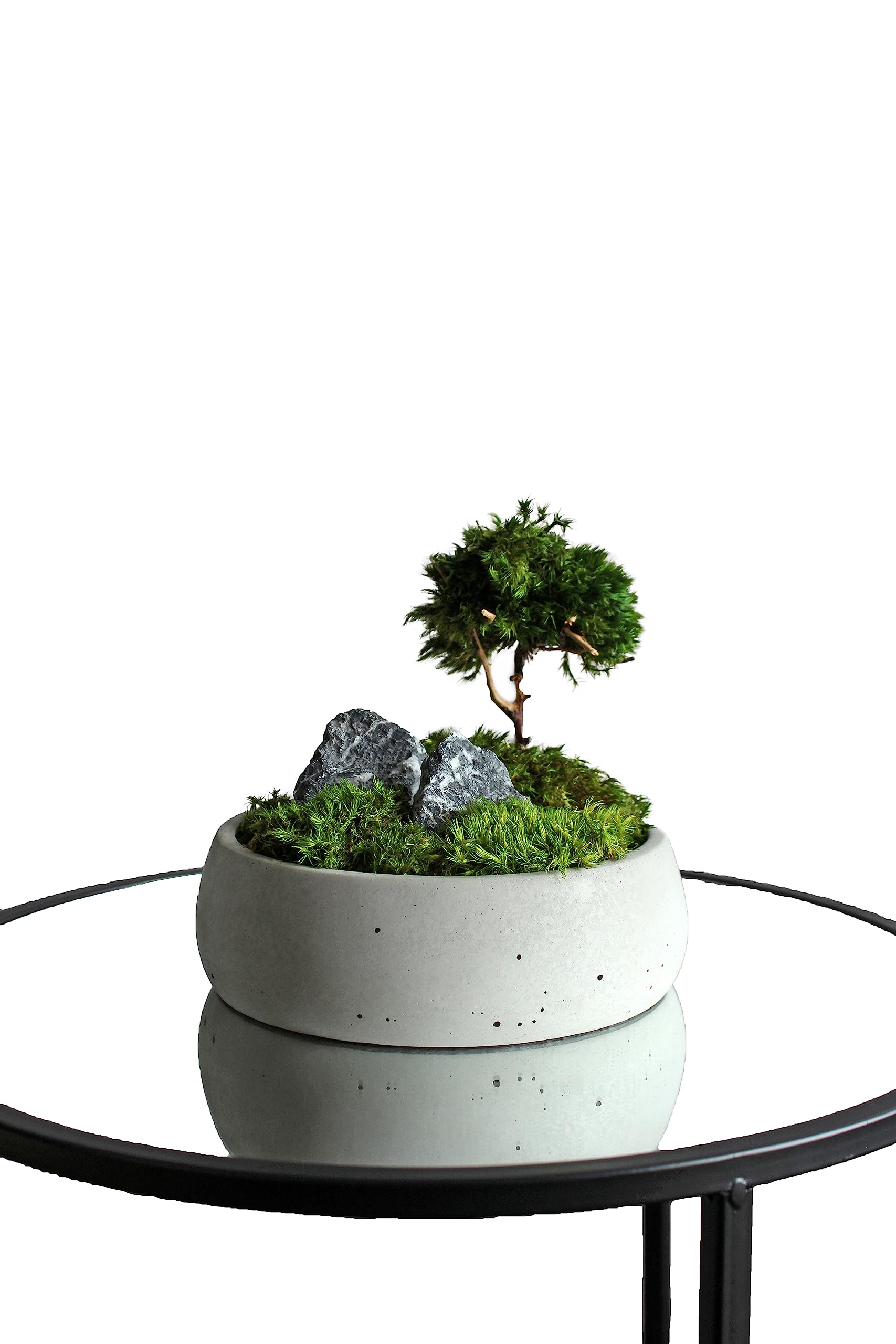 Jardin zen avec bonsaï antistress pour réduire l'anxiété à la maison