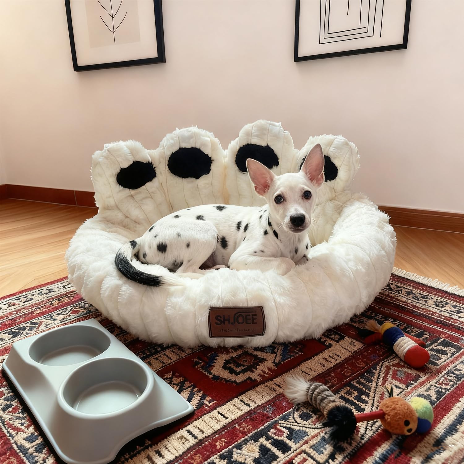 Cuccia Cane Interno Letto Morbida per Cani Lettino Gatto Lettino per Animali Domestici Cuccia per Gatti Fluffy Peluche Letto per Cani Lavabili Antiscivolo (Beige, 60cm)