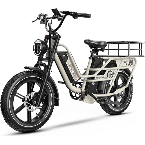 Dual Battery Electric Bike for Adults, 160 Miles Long Range Cargo Ebike with 48V 60AH Removable 2880WH Battery, 1450W Peak Motor 34MPH Electric Bicycle, 20" x 4" Fat Tire Hydraulic Brakes E Bike