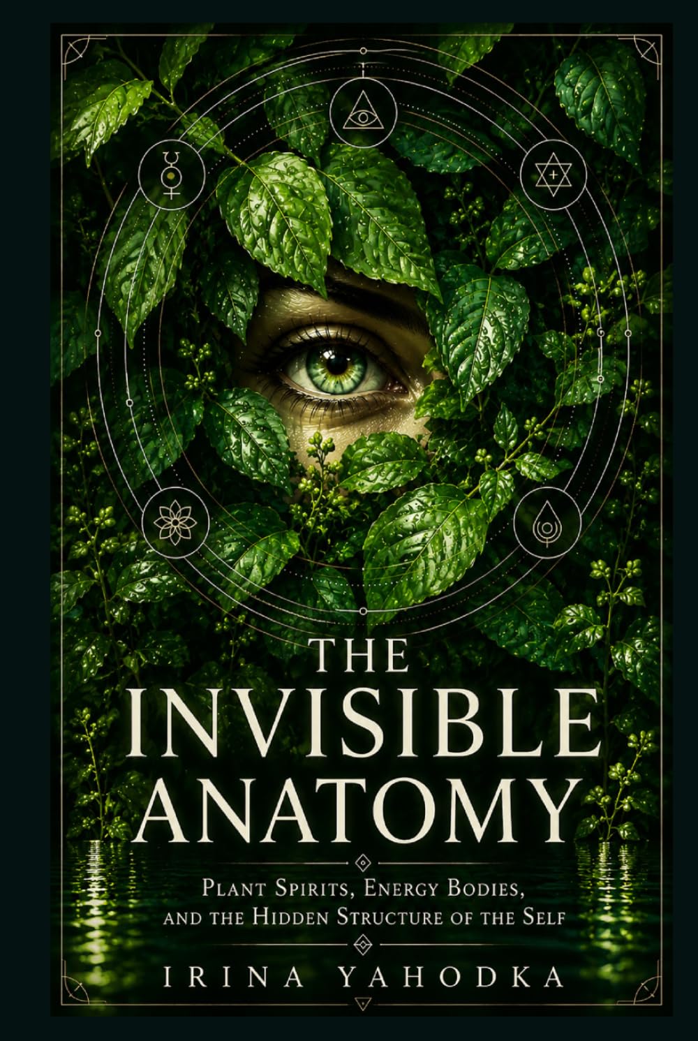 The Invisible Anatomy: Plant Spirits, Energy Bodies, and the Hidden Structure of the Self (The Psychedelic Mysteries Series)