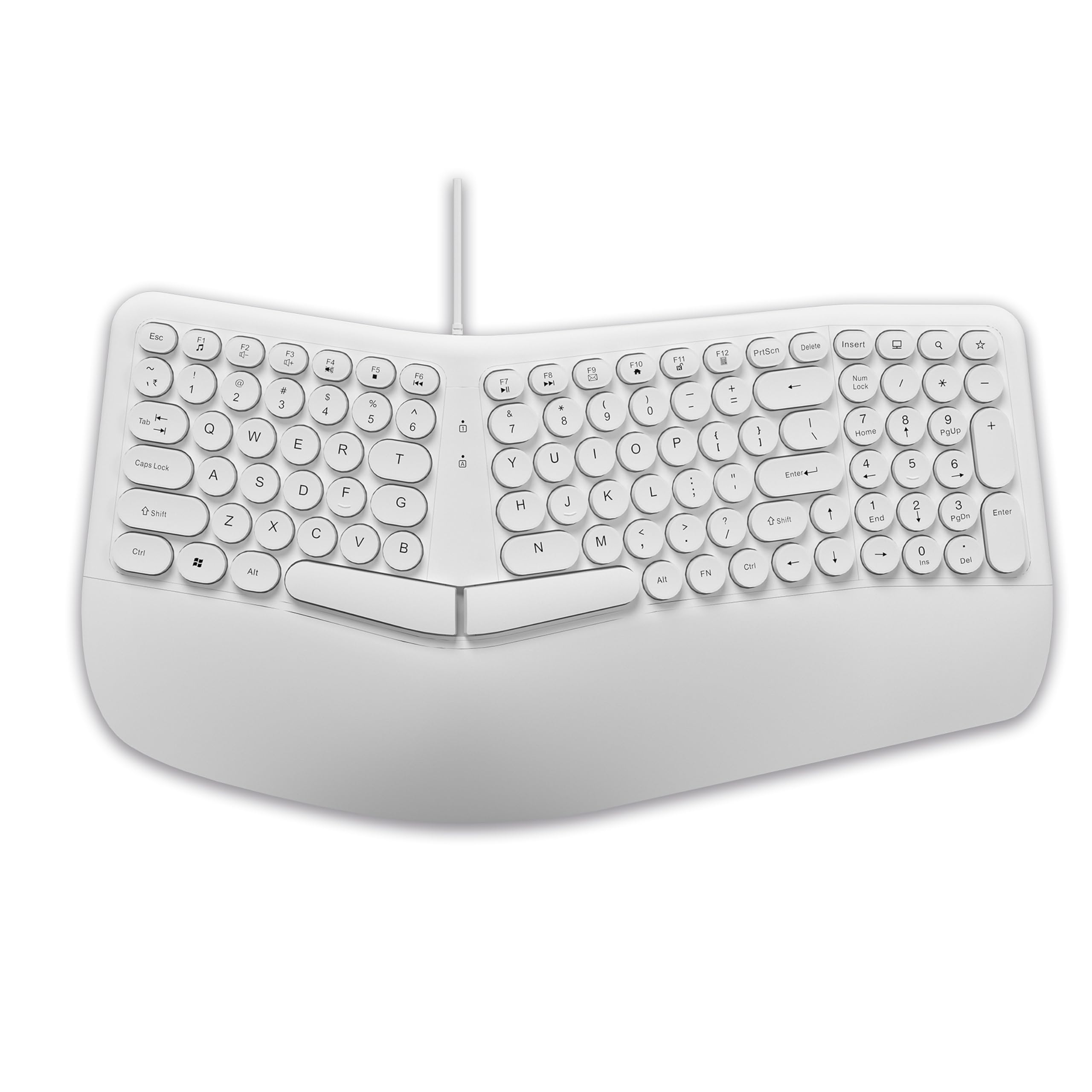 Ant Master 01 New Gen Full Size Wired Office Keyboard | 98 Keys Compact Layout with 4 Multimedia Keys | Membrane Switches | 5M Clicks Life | Windows/Mac/Linux Compatible – Black — Amazon image 13