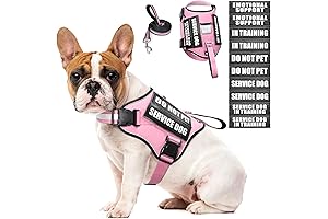 Premium Pink Service Dog Harness: Unleash Your Dog's Confidence