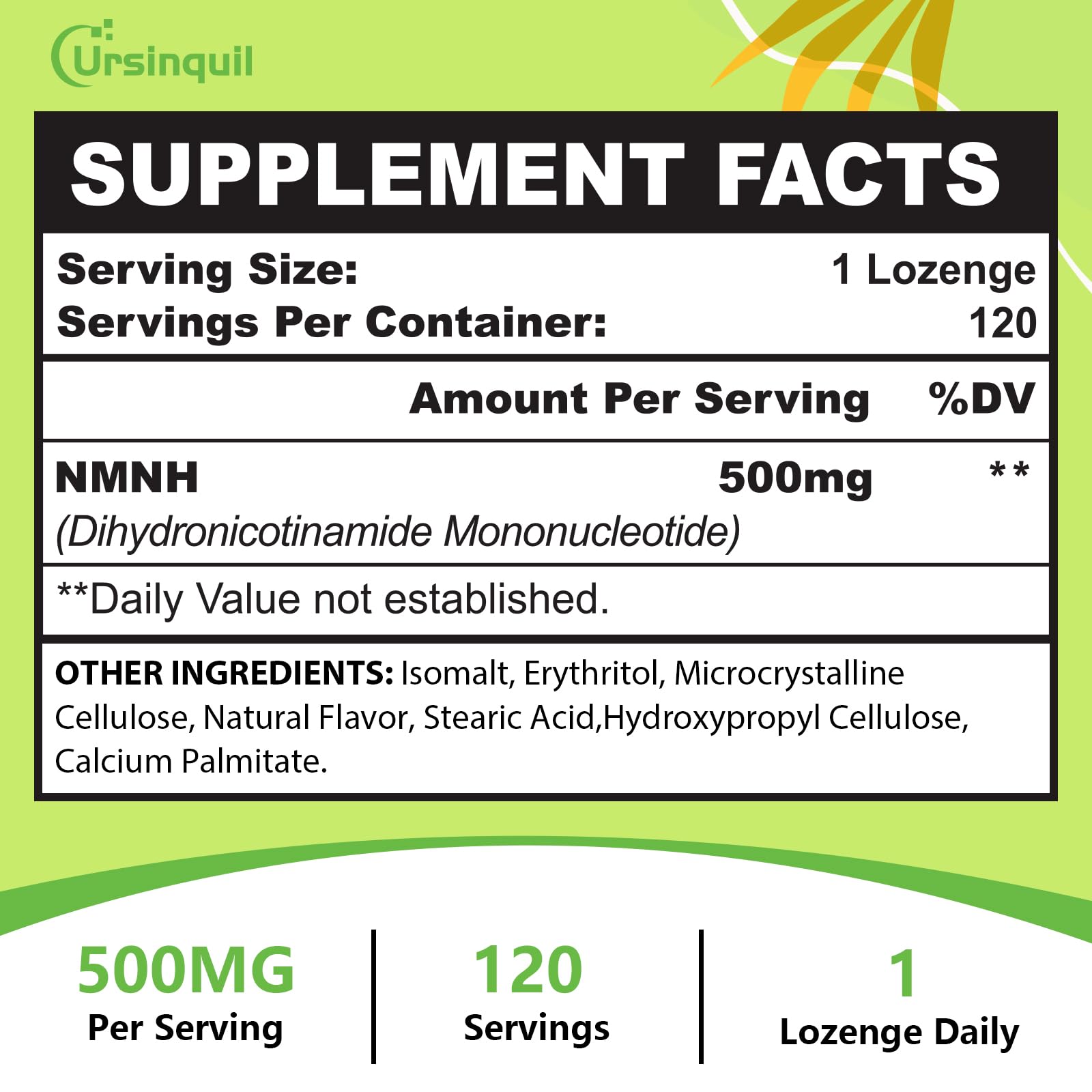 Sublingual NMNH 500mg (240-Day Supply, 500mg per Serving) , 240 Count — Amazon image 5