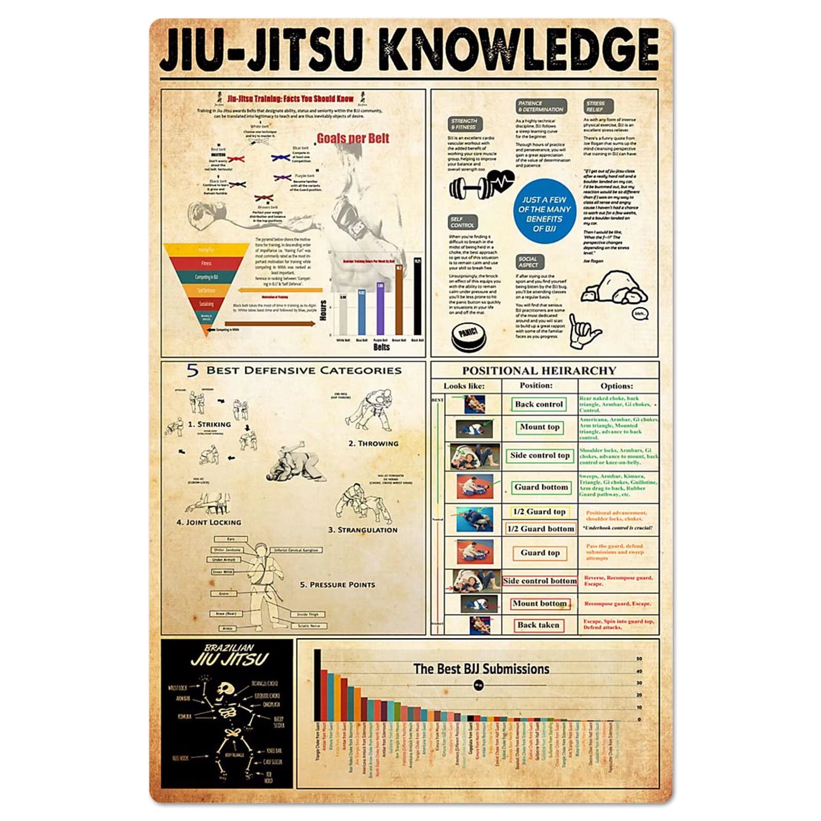 peiyeety Jiu-jitsu Knowledge Metal Signs Gym Wall Decor Competitive Martial Arts Basic Infographics Tin Signs Room Posters Plaques 8"x12"