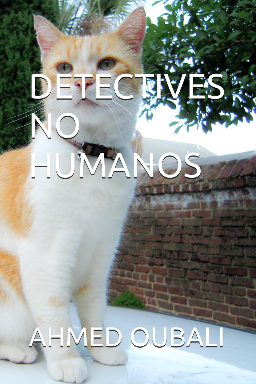 DETECTIVES NO HUMANOS (FICCIÓN POLICIAL)