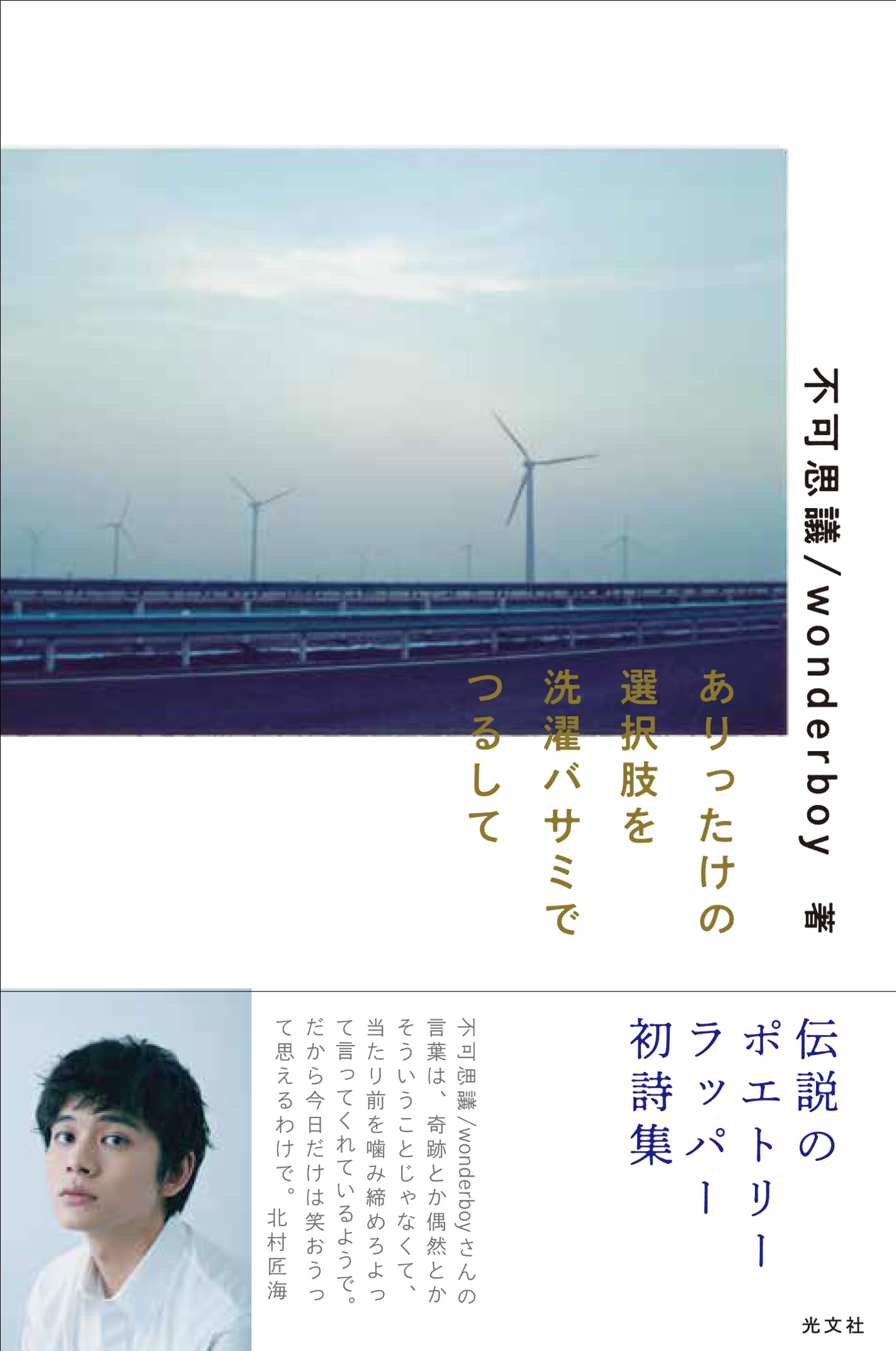 ありったけの選択肢を洗濯バサミでつるして | 不可思議/wonderboy |本