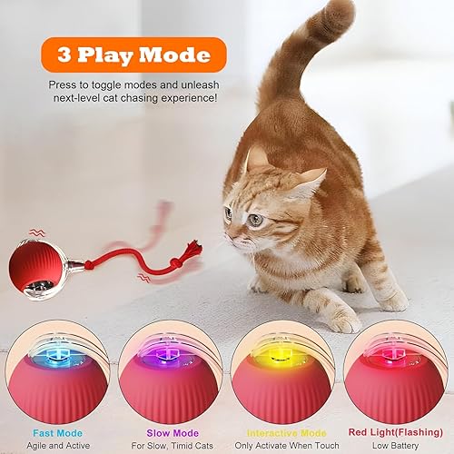 Miniatura 8 de Juguete de bola de gato en movimiento ágil con cuerda (rojo)