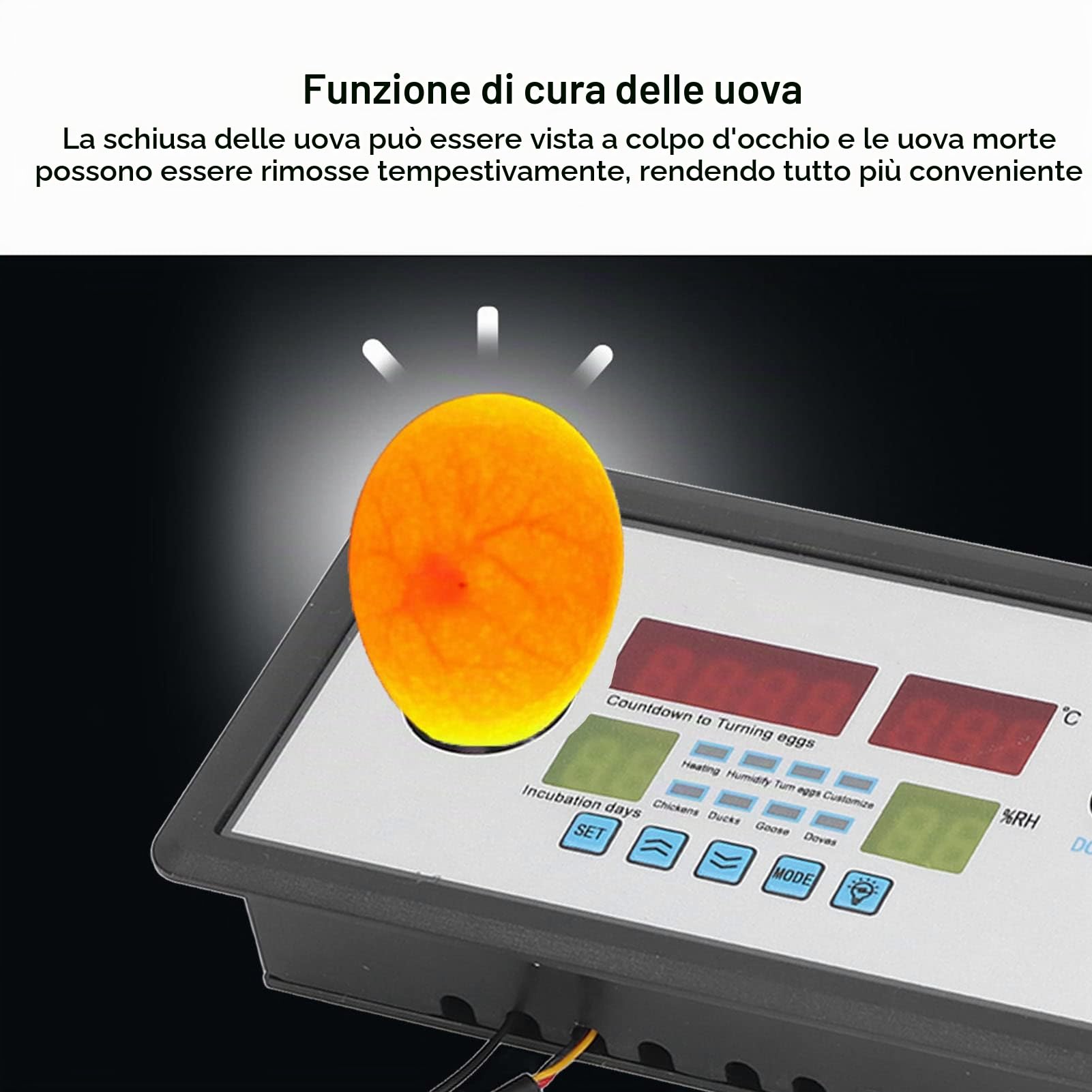 Termostato Intelligente per Incubatrice, Igrostato Automatico con Sonda Umidità e Temperatura, Controllo Remoto per Hatching, DC 12V