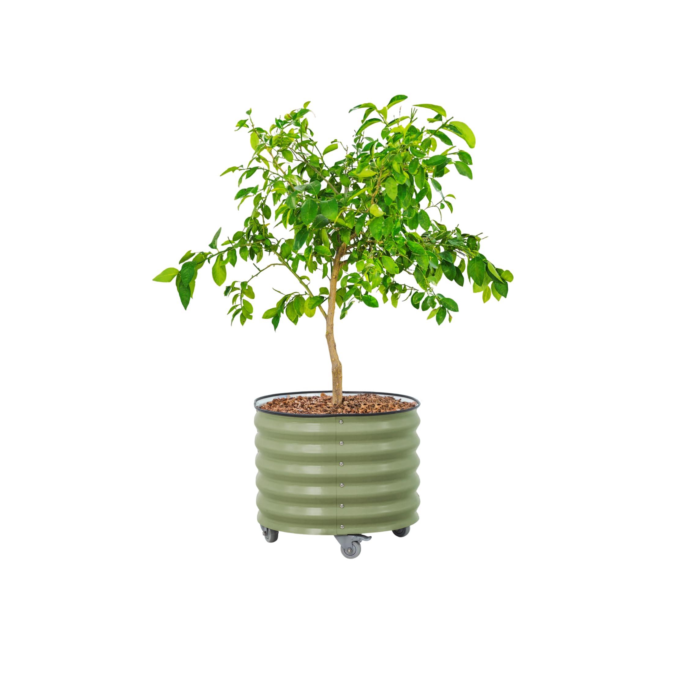 Rolling Metal Citrus Tree Planter Pot, 24″ Round Planter Box for Porch Patio &amp; Backyard, 30 Gallon Large Planter Pot with Wheels for Growing Olive Trees Tomatoes Vegetables and Flowers, Olive Green