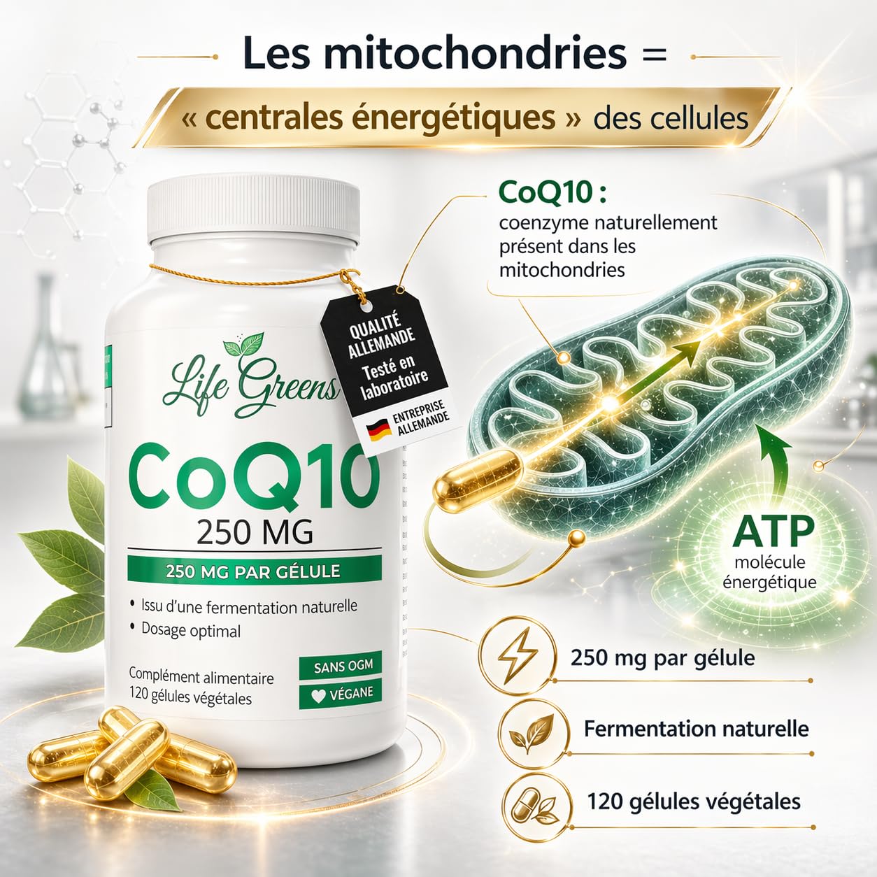 COENZYME Q10 250 mg | CoQ10 Ubiquinol issu de fermentation naturelle | Puissant antioxydant naturel | Protection anti âge | Énergie cellulaire | Absorption optimale | 120 gélules véganes | Sans OGM