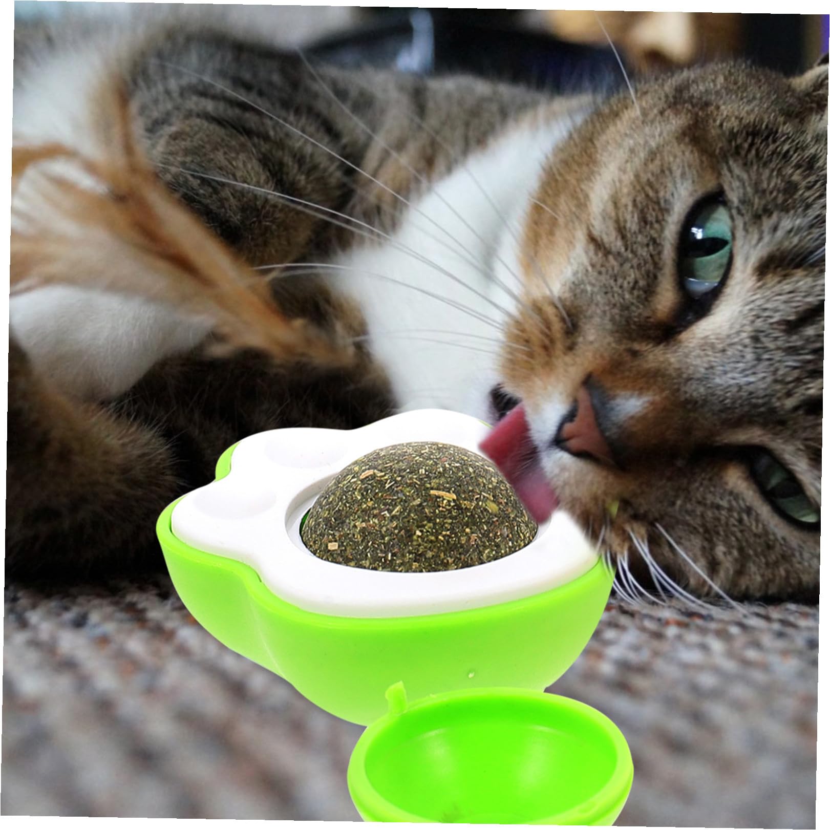 Yardwe 15stücke Teiliges Katzenminze Spielzeugball Für Katzen Interaktives Für Gesunde Zähne Und Frischen Atem Für Drinnen Inklusive Blauen Pinken