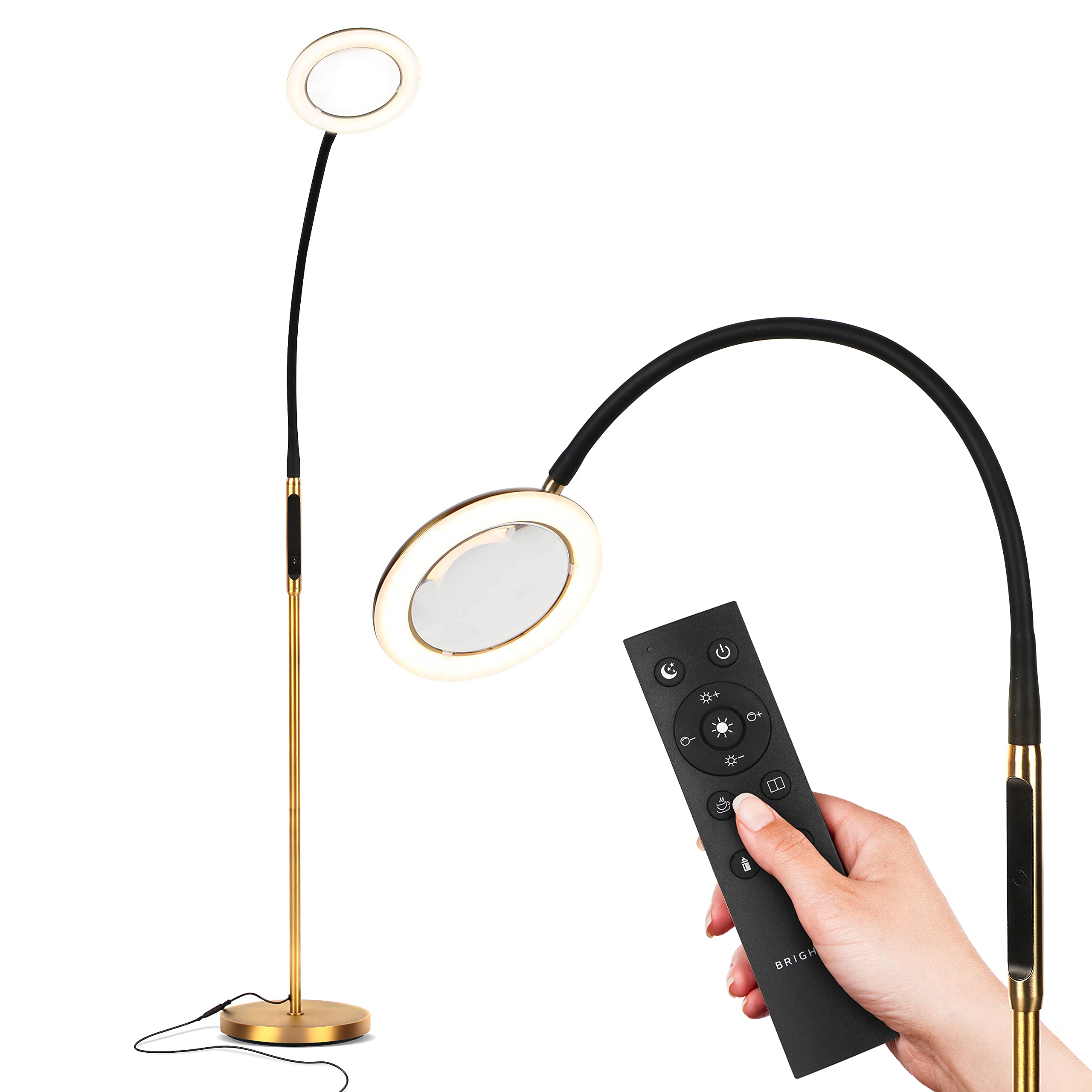 Brightech LightView Remote Remote Controlled Magnifying Floor Lamp