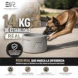 Ver la foto 2