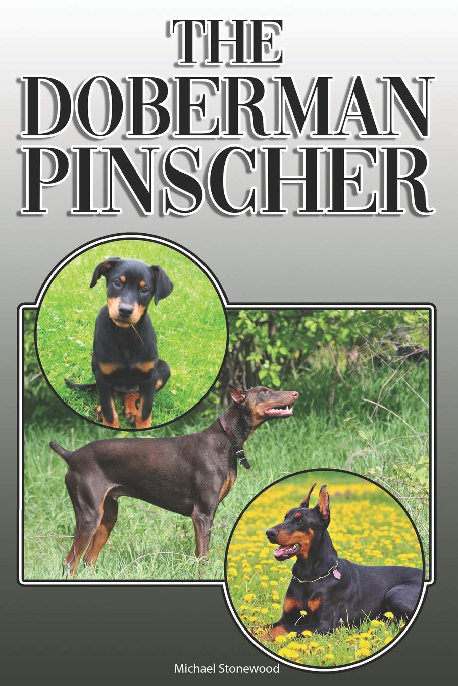 The Doberman Pinscher: A Complete and Comprehensive Owners Guide To: Buyi