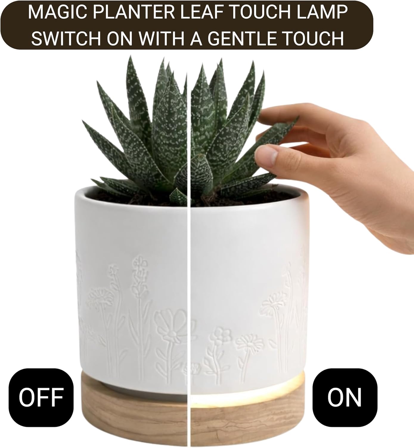 Magic Plantern® - Interactive Planter Lamp – Plant Touch Activated Dimmable Table Lamp with 6" Ceramic Planter, Smart Planer with Light, UL Listed