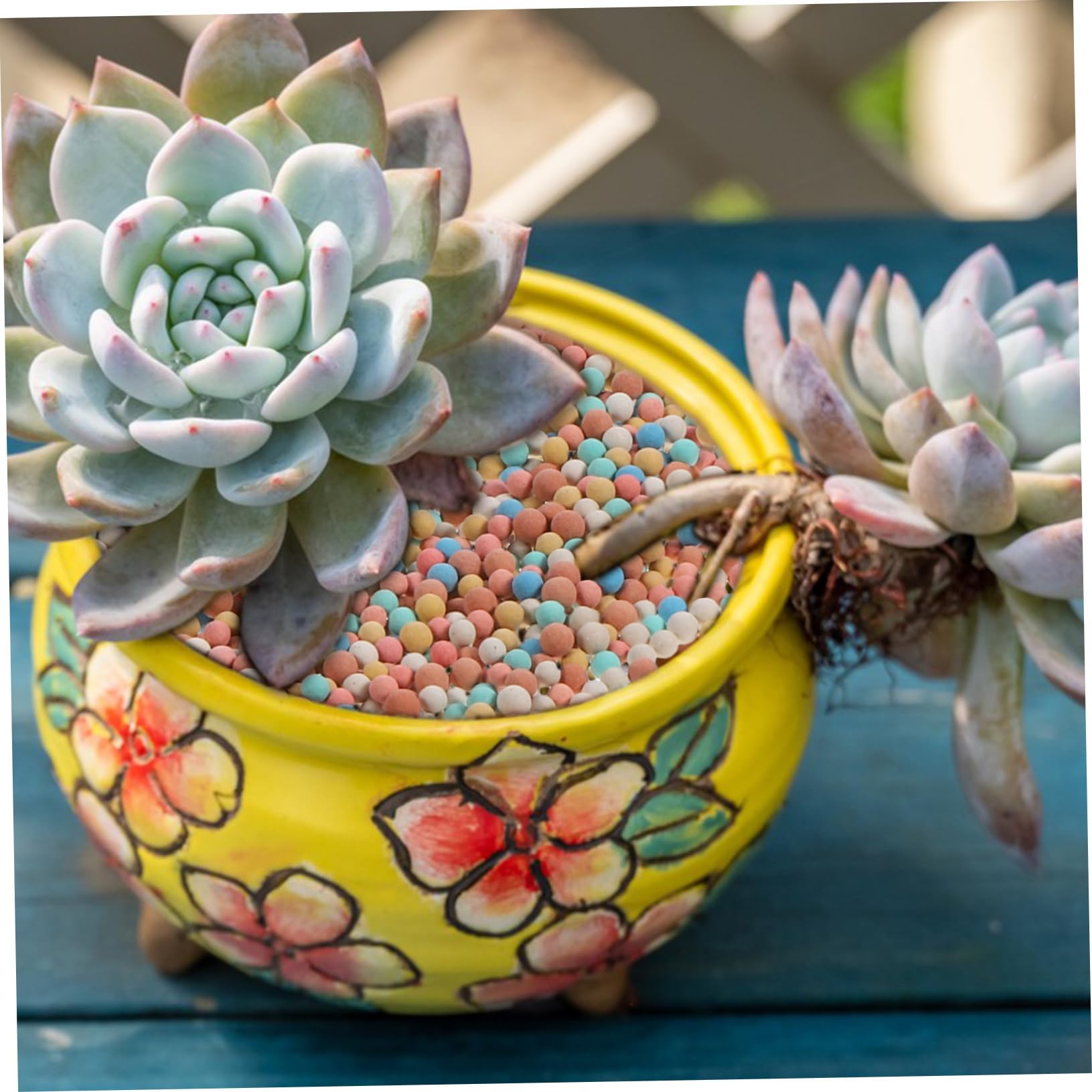 BESTonZON Céramsite Décoratif pour Pots de Fleurs 500g/ Argile Naturelle pour Plantes Succulentes et Bonsaï Utilisation en Poterie et Jardinière