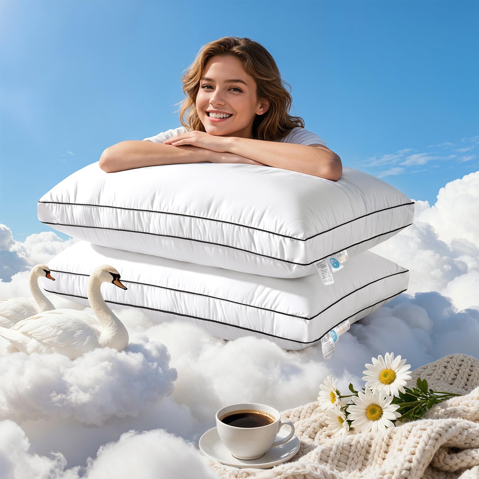 LIANLAM Hungarian Goose Down Pillow 2-Pack