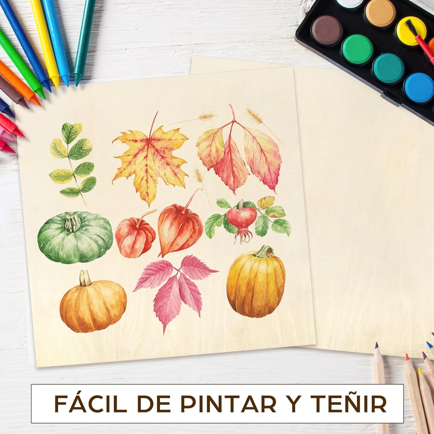 LotFancy Madera Contrachapada de 3 mm, 30 x 30 cm, 12 Piezas Paneles Finos de Bricolaje Cortados con Láser, Láminas de Madera Contrachapada, Manualidades, Kits de Construcción, Modelismo