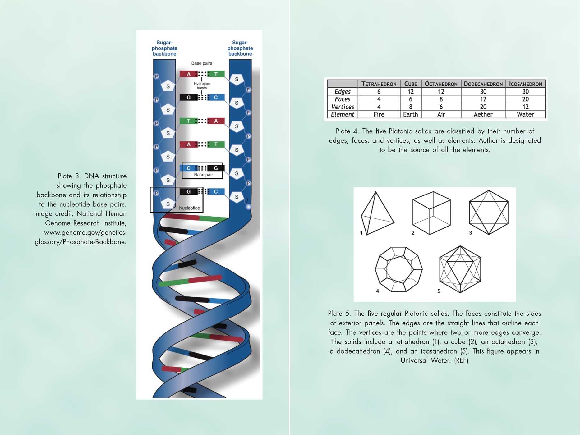 Activating Our 12-Stranded DNA: Secrets of Dodecahedral DNA for Completing Our Human Evolution