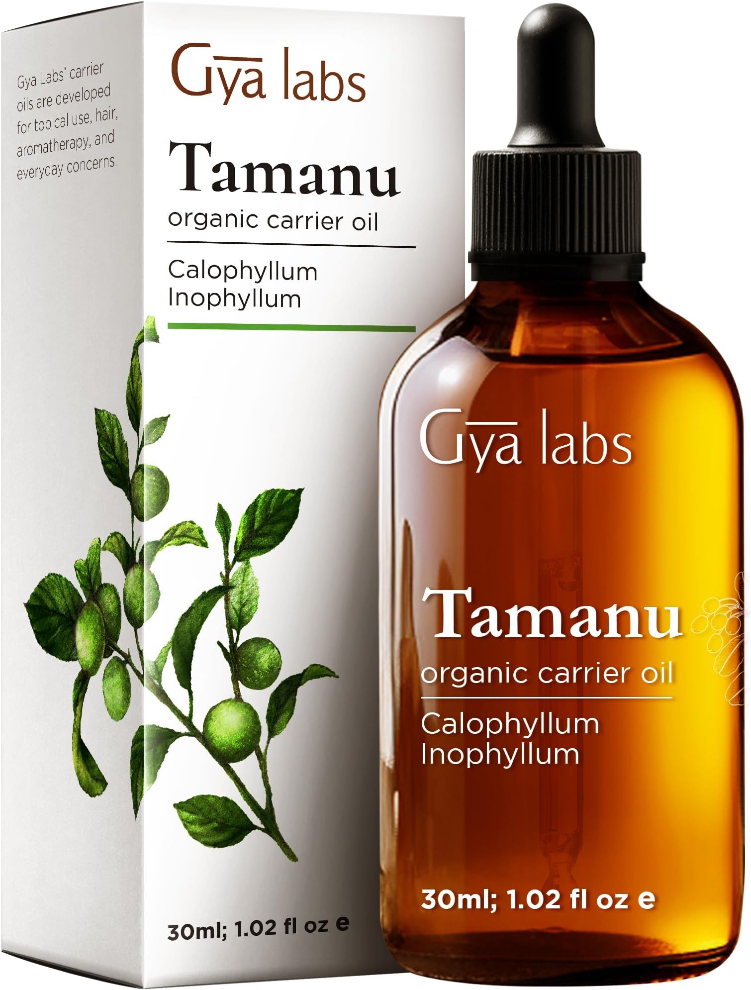 Gya Labs Organic Tamanu Oil For Skin & Face - 100% Pure Natural Unrefined Tamanu Carrier Oil for Hair - Soothing & Renewing (30ml)