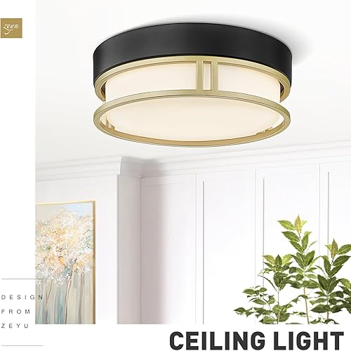 Miniatura 2 de zeyu ZS76F BK+AG - Lámpara de techo empotrada de 1 luz, moderna de 10 pulgadas, para dormitorio, pasillo, pasillo, pantalla de vidrio esmerilado