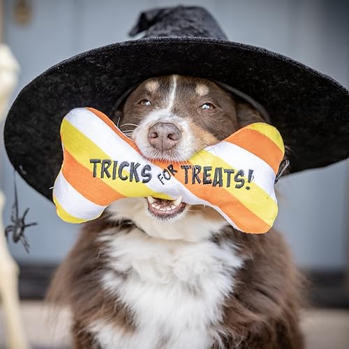 Miniatura 4 de Huxley & Kent Halloween Dog Bundle | Tricks for Treats & Small Creepy Candy Bow Tie | Plush Dog Toy and Hook & Loop Collar Attachment