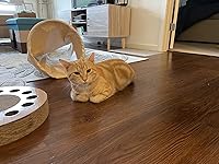 Review Image by Zoey Zoey