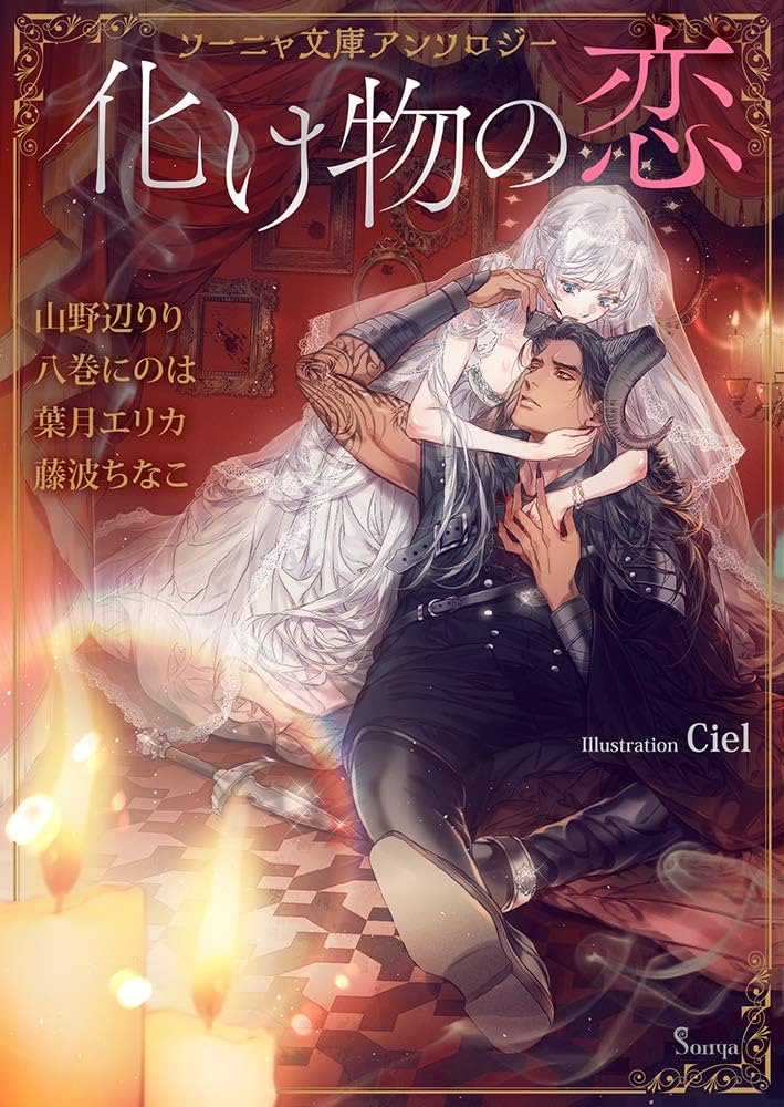 TL小説 文庫本 まとめ売り　100円商品　ソーニャ文庫　アンソロジー TL小説 文庫本 まとめ売り 100円商品 ソーニャ文庫 アンソロジー