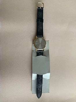 西日本旅客鉄道 ひかりレールスター オリジナルウォッチ 記念 61Gosj5JKJS._UF350,350_QL50_.jpg