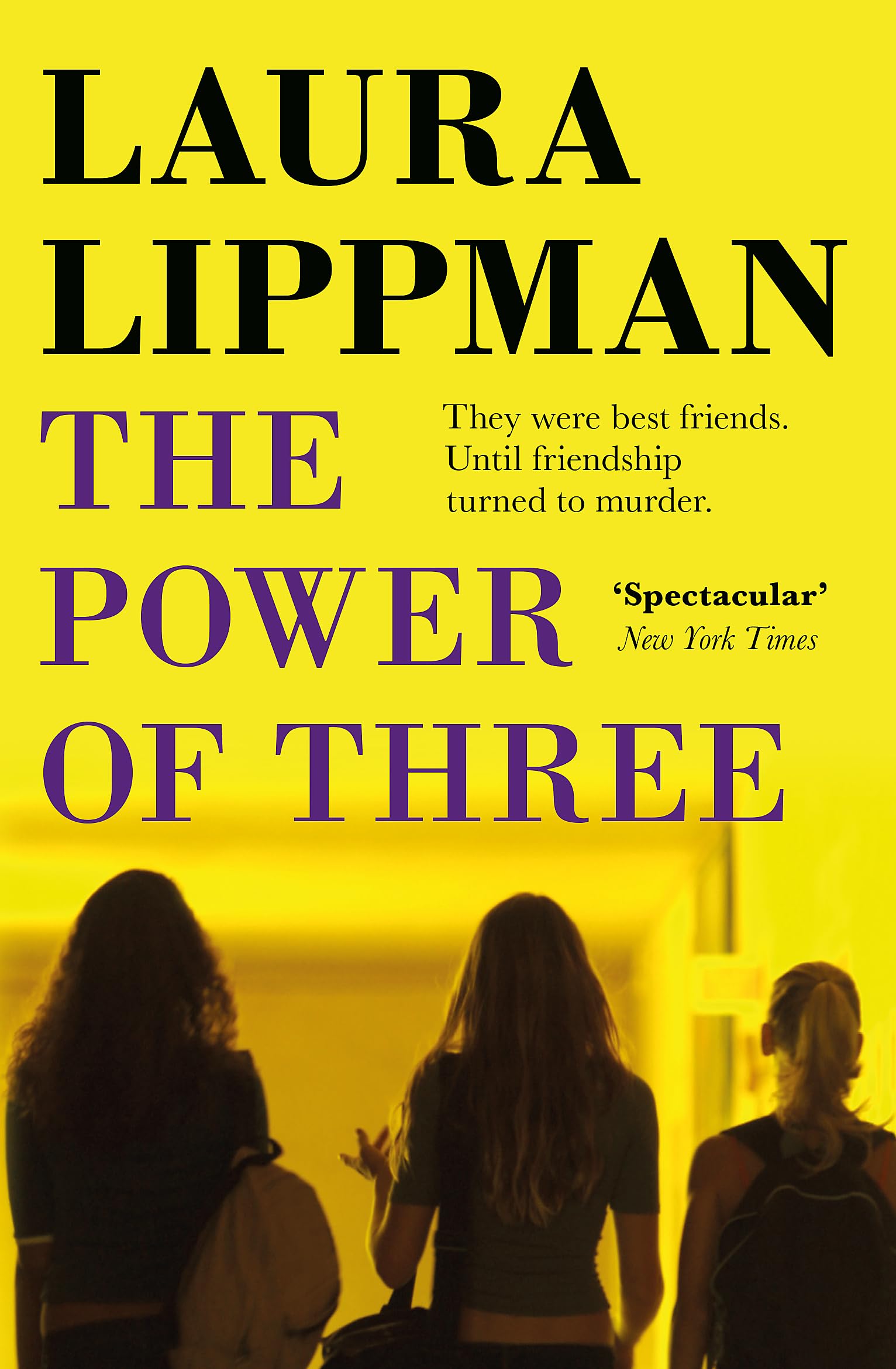 The Power Of Three by Laura Lippman PAPERBACK 9781409197362