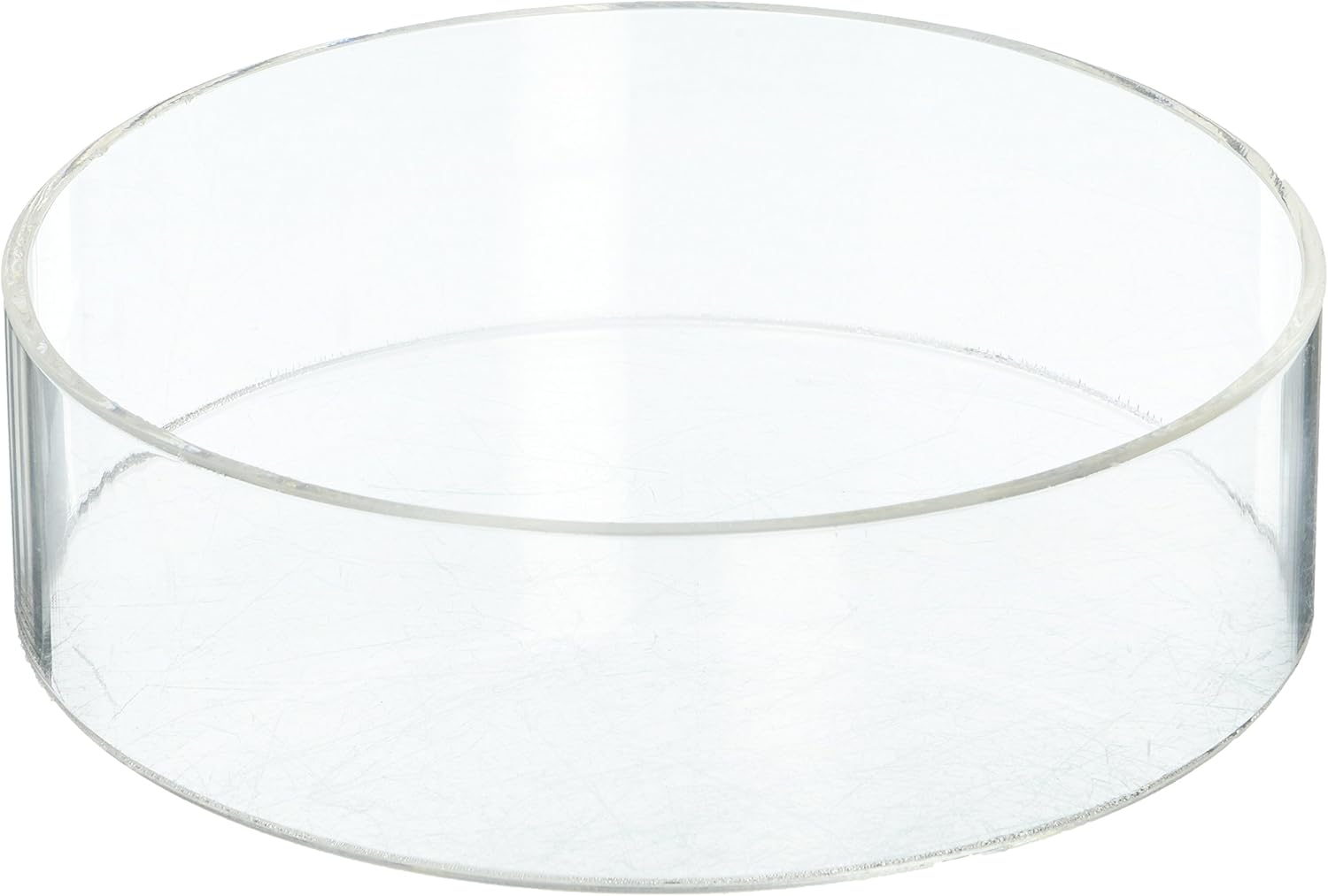Amazon.com: Plymor Clear Acrylic Round Cylinder Display Riser, 2 inches ...