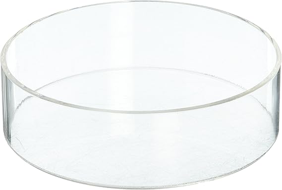 Amazon.com: Plymor Clear Acrylic Round Cylinder Display Riser, 2 inches ...
