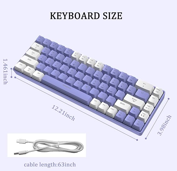 LexonElec T8 60% Wired Mechanical Gaming Keyboard, Blue Switch, 68 Keys