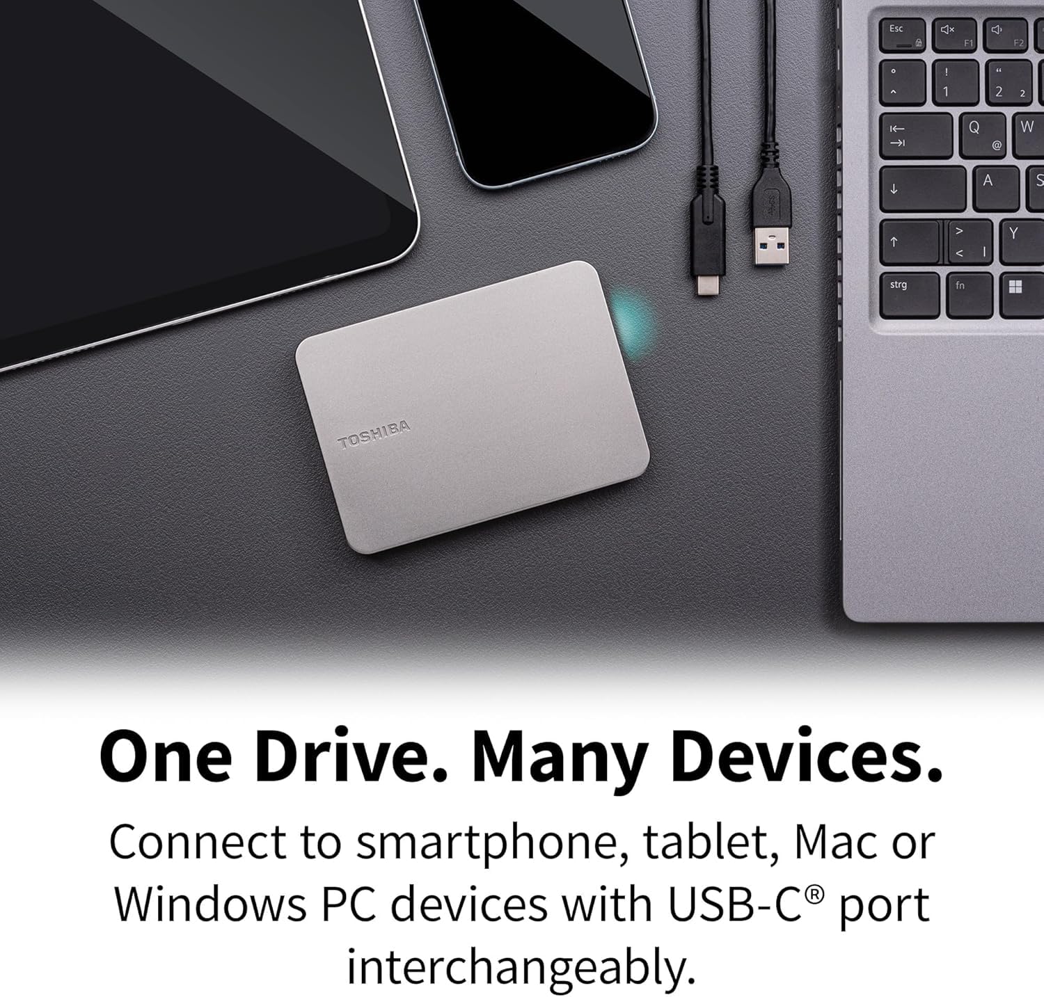 Toshiba Canvio Flex HDTX240ESCCA przenośny zewnętrzny dysk twardy 5.9 cm (HDD) do komputerów Mac, Windows PC, smartfonów i tabletów, kompatybilny z większością urządzeń USB-C i USB-A, ciepły srebrny