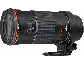 Amazon.com : Canon 180mm F3.5 L AF Macro Lens : Camera