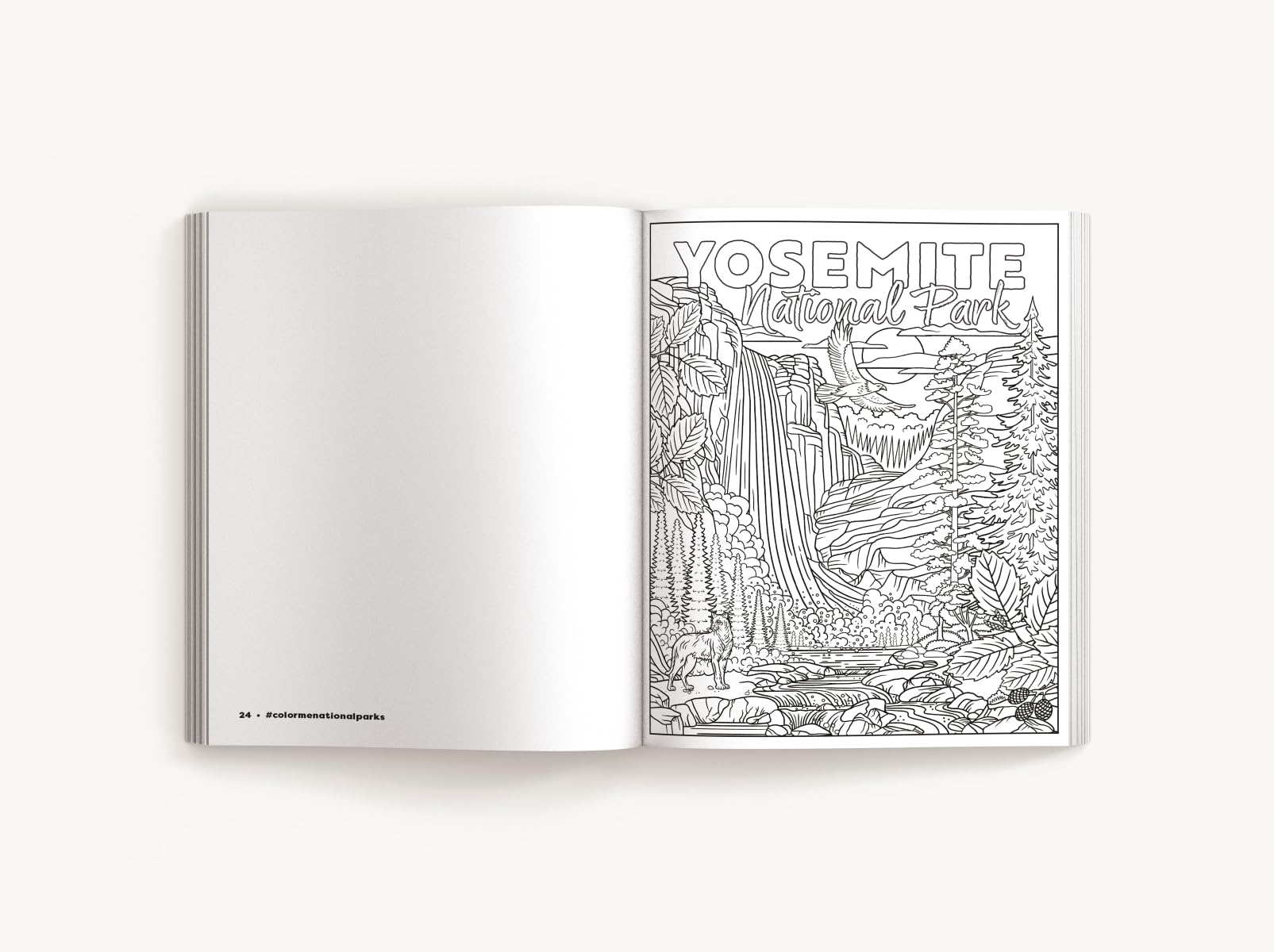 Color Me National Parks: An Adventurous Coloring Book (Color Me Coloring Books) - Image 5