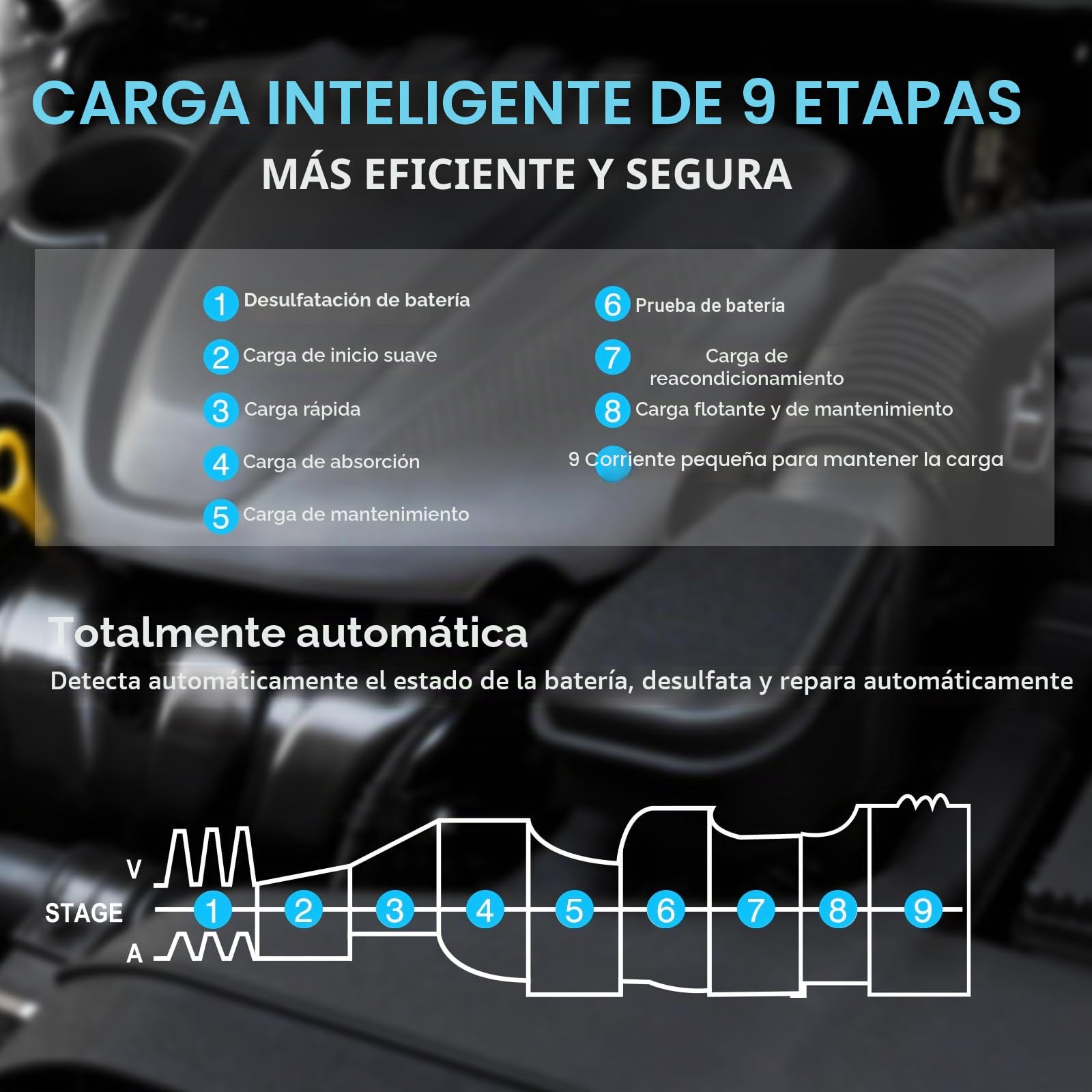 Cargador de batería de coche de 30 A, Haisito 6 V/12 V/24 V, cargador y soporte para AGM, Gel, SLA, EFB y LiFePO4, cargador automático de 9 etapas con pantalla LCD para coche, moto