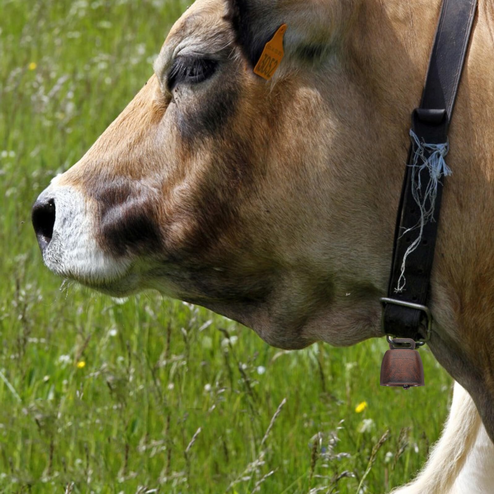 16 Pezzi Campanelli Rustici in Metallo per Animali da Fattoria, Campanaccio di Mucca Antifurto Rosso Scuro 35mm, Ciondolo Leggero Suono Nitido per Bovini, Pecore e Cani all’Aperto