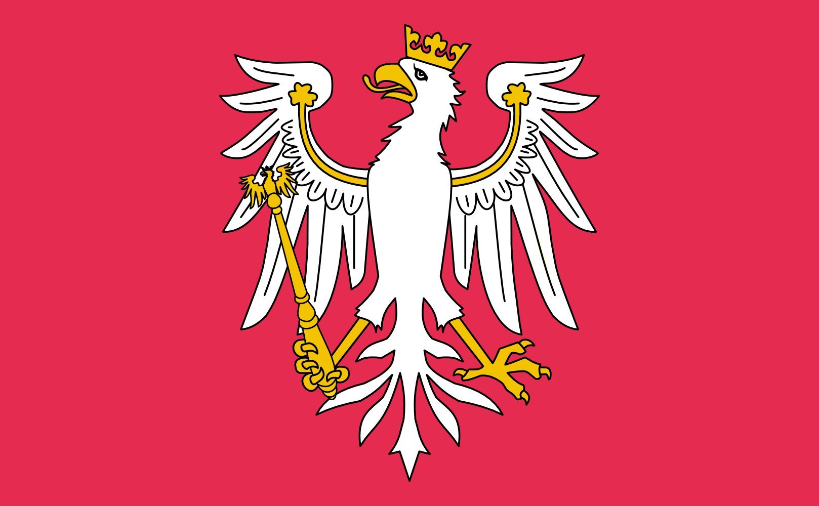 Drapeau Large Redania de 1.35m² idéal pour vos décors de salon
