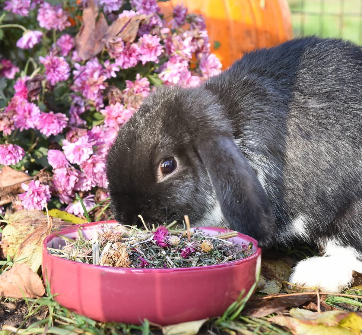 grünhopper Digestive 8 kg Strukturfutter für Kaninchen