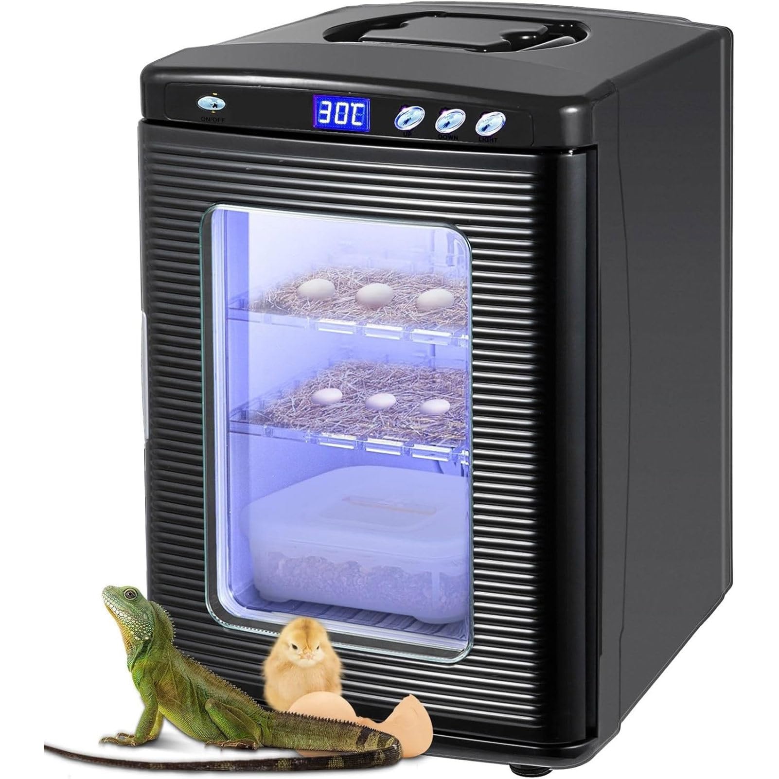 RayGenius Incubadora De Reptiles con Control De Temperatura Dual (5-60 °C), Termostato De RefrigeracióN Y CalefaccióN para Reptiles PequeñOs.