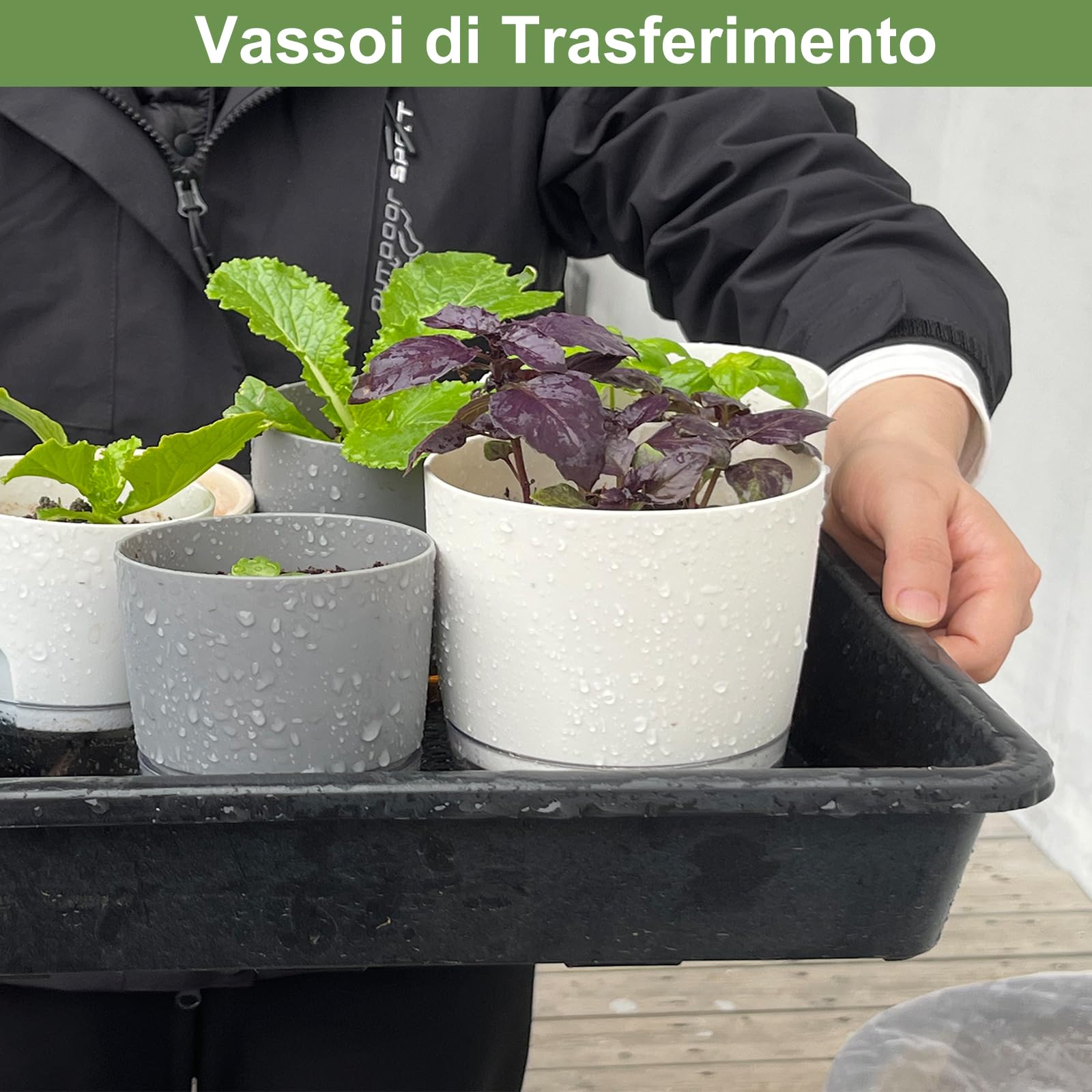 BeGrit 5 Pezzi Vassoi Semina Plastica 44 x 30 x 4,5 cm Germinazione Semina Vaschette Grande Semenzaio vassoio per microgreens rettangolari semi in plastica per Serra Idroponica Giardino Verdura Frutta