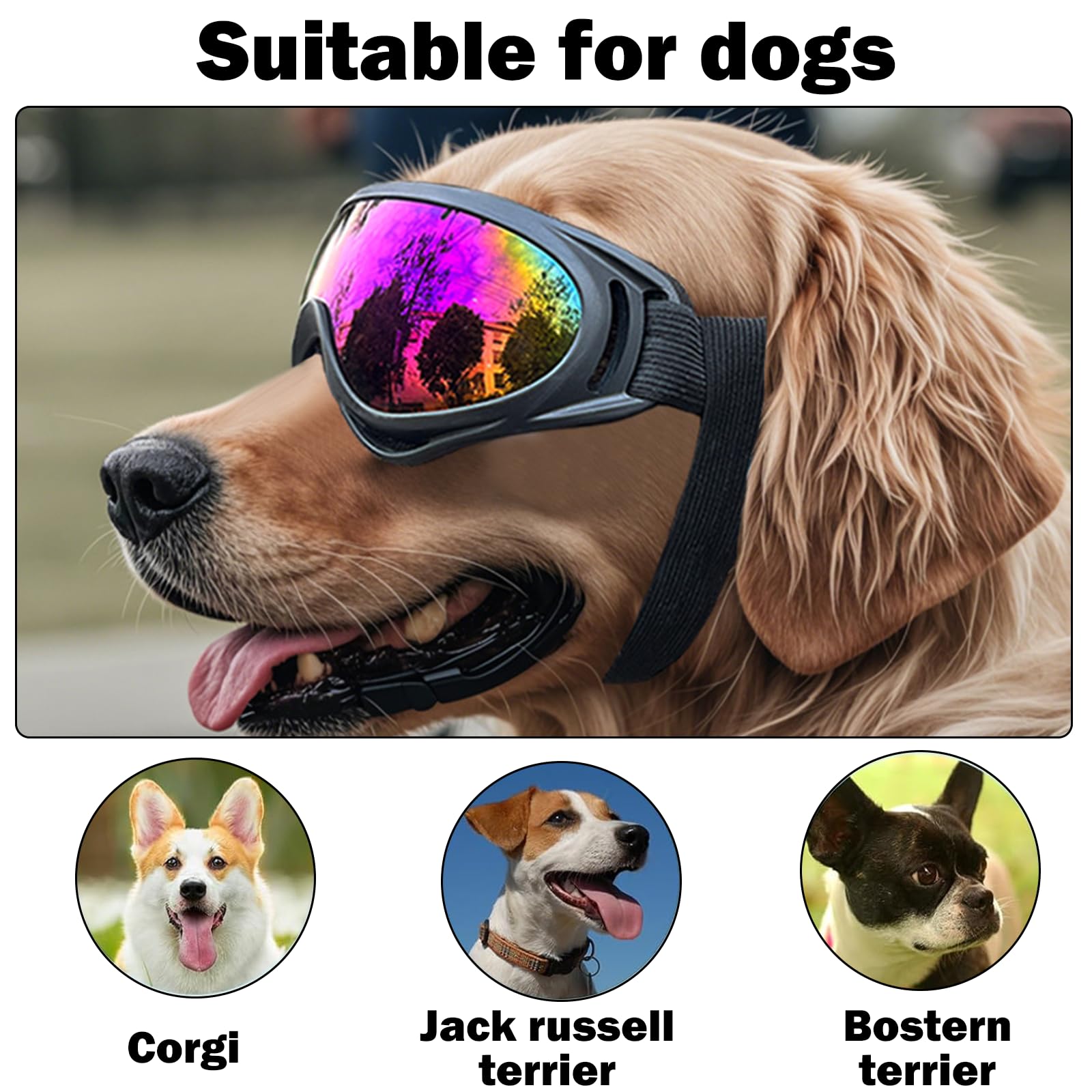 2 Regolabili Occhiali da Sole per Cani Adatti Occhiali per Cani Antivento e Protezione UV per Cani di Taglia Media e Grande, Neve, Avventure All'aperto, Auto e Altre Attività All'aperto