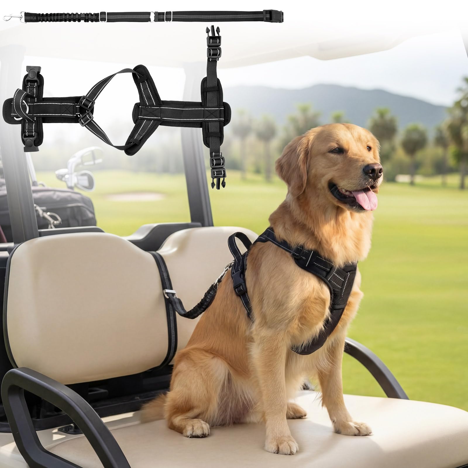 Hsei Dog Car Harness and Seat Belt for Golf Cart, Adjustable Black Vest & Leash Combo, Reflective Nylon Tear-Resistant Webbing with Elastic Bungee, Safety for Pets in Vehicle, Outdoor Activity(Large)