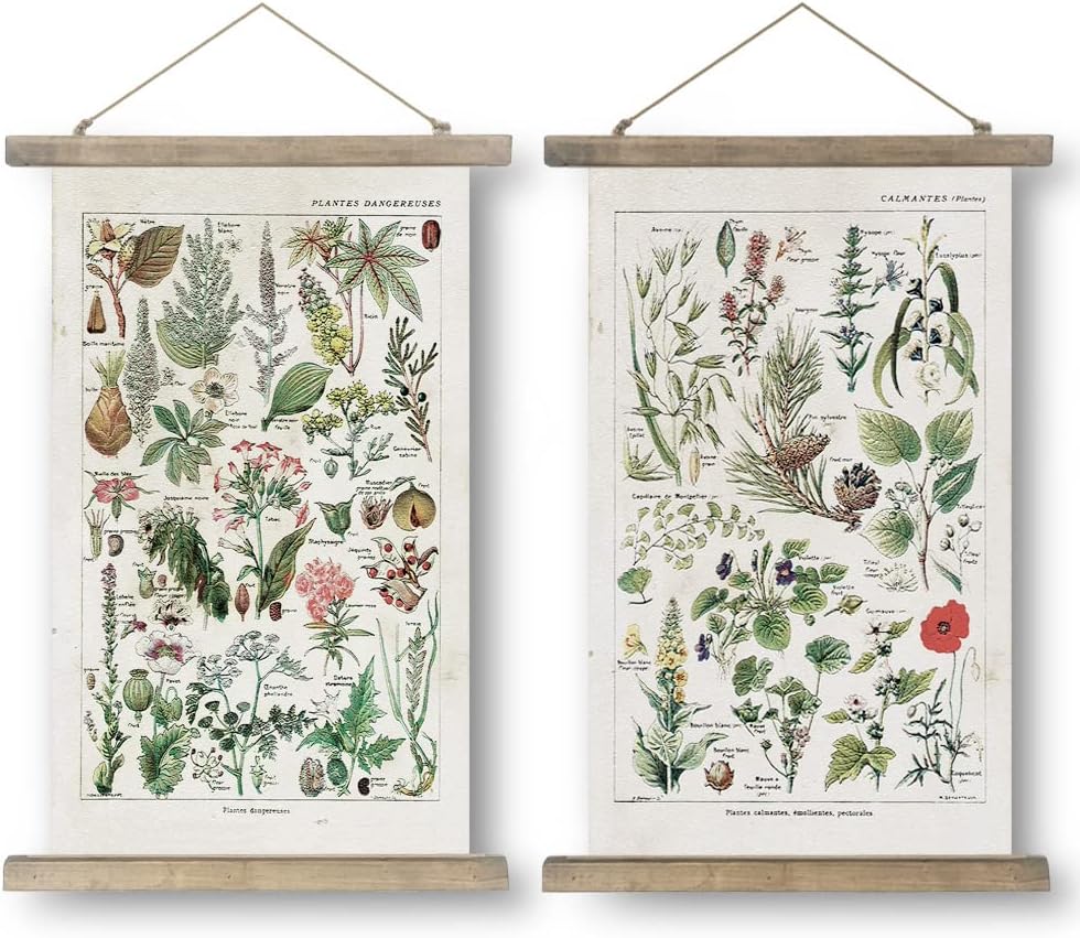 SHOXREM Vintage Poster,Rustic Art Prints, Retro Style of Wall Hanging for Living Room Office Classroom Bedroom Playroom Apartment Decor. (Botany 2Panels, 16“ x 24”) Botany 2Panels 16“ x 24”