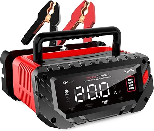 Cargador de batería de litio de 20 amperios, Lifepo4 de 12 V y 24 V, plomo-ácido (AGMGelSLA..) Cargador de batería portátil para automóvil, barco