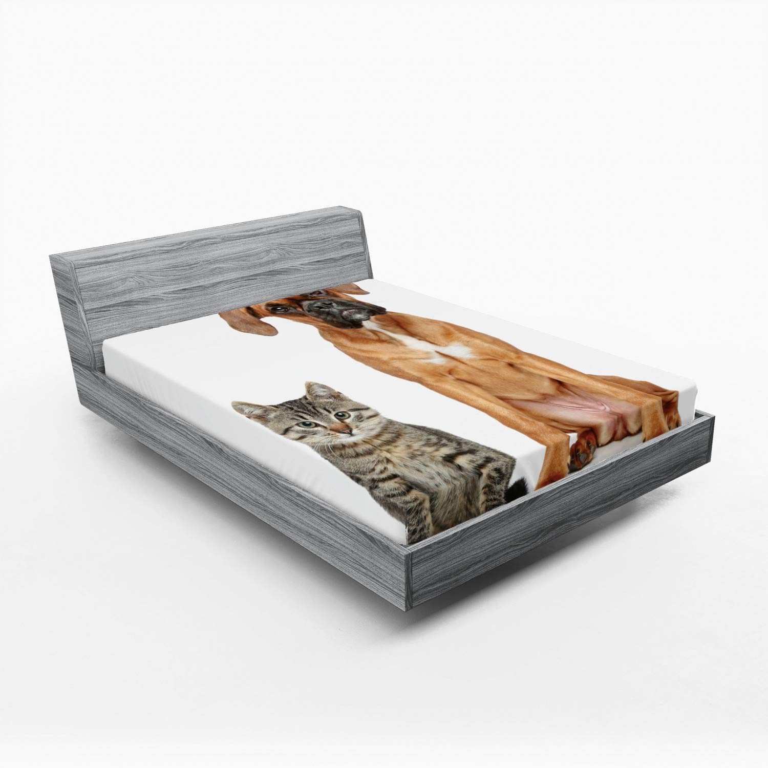 Ambesonne Boxer Dog Fitted Sheet, Photo of a Cat and Dog Sitting Together Animal Friendship Theme Pet Lover Concept, Bed Cover with All-Round Elastic Pocket for Comfort, California King, Beige Brown